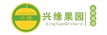 柚緣相知，柚見傾心，興緣冰糖柚采摘下樹，擋不住的“柚”惑來啦！-梅州市興緣農(nóng)業(yè)發(fā)展有限公司